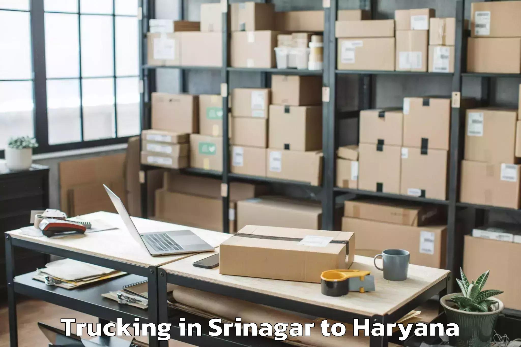 Book Srinagar to Faridabad Trucking